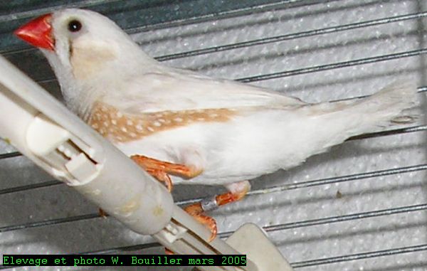 M M 24 03 2005 5 22.jpg