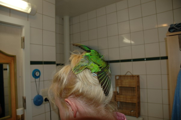08Img2004-12-14-0057_redimensionner.JPG