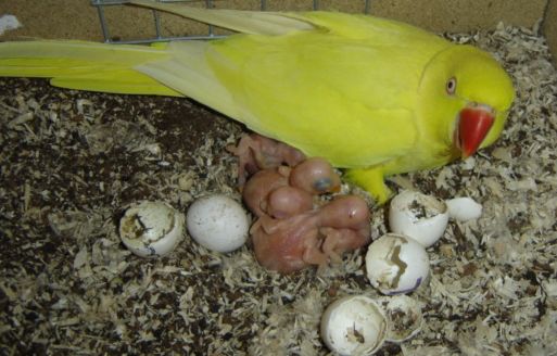 maman +petit.jpg