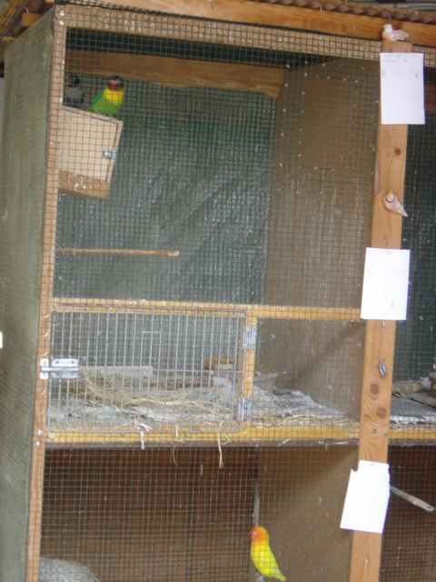 voliÃ¨re sÃ©paration repro 2703.jpg