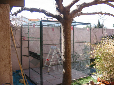 tiens une nouvelle voliere .JPG