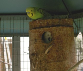 PICT1278.JPG