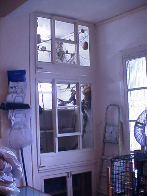 RIM00118.JPG