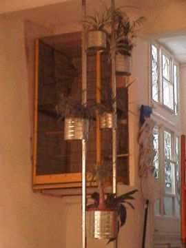 cage paco chico calo.jpg