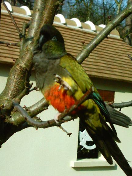 Photo 009.jpg