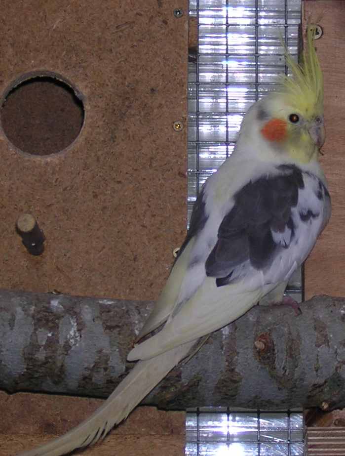 DSCN1161.jpg