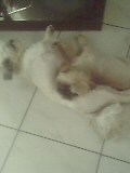 Prisca & Tessy.jpeg