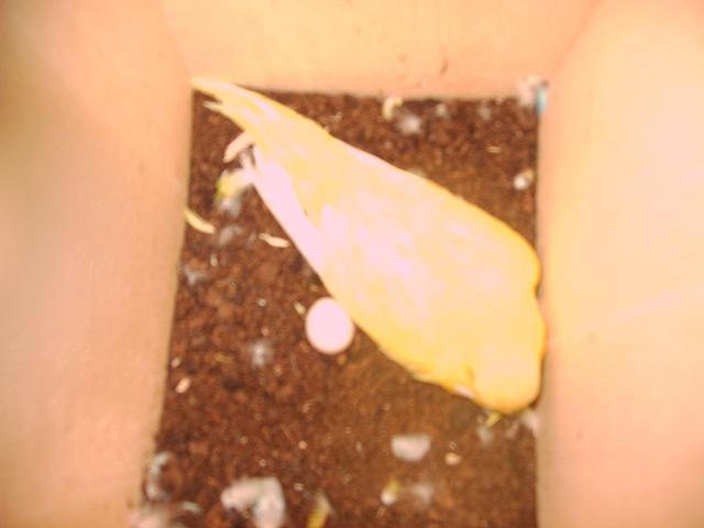Photo 047.jpg