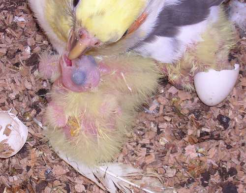 DSCN1178.jpg