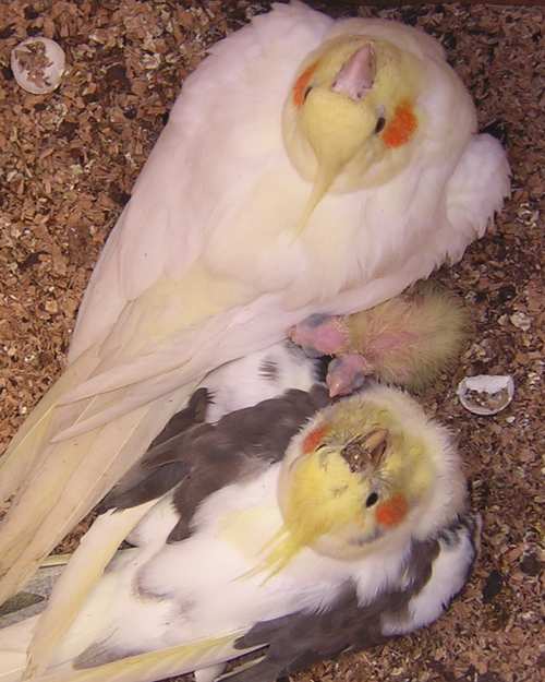 DSCN1185.jpg