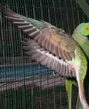 DSCN1632.jpg