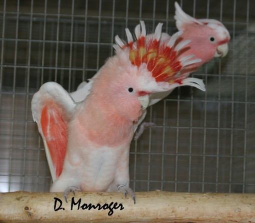 Test 4.jpg