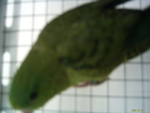 DSCI0122.jpg