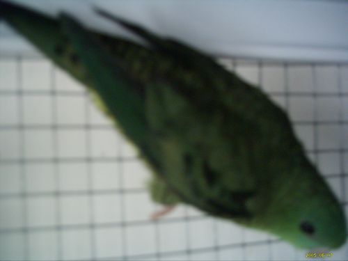 DSCI0121.jpg