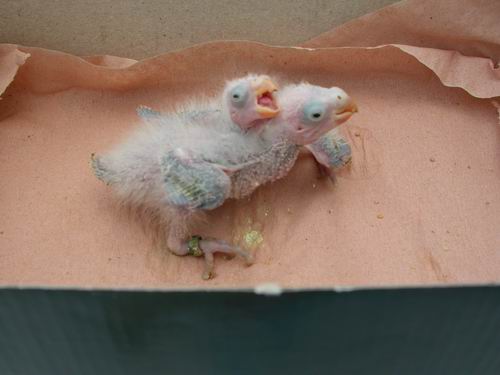 Resize of Img2005-06-12-11.27.41.JPG