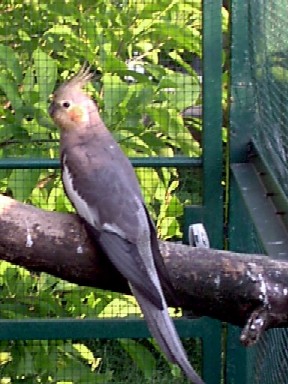 Copie de IMAG0023.JPG