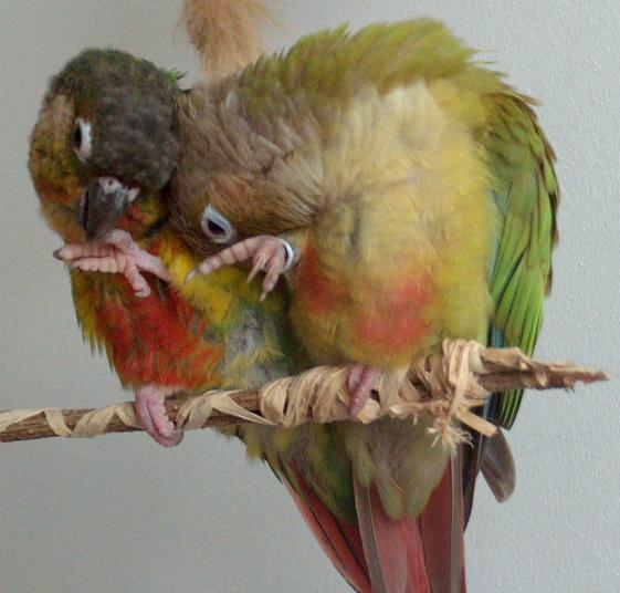 2005-06-14 025.jpg