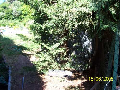 100_1139.jpg