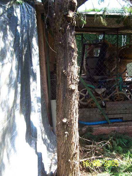 100_1147.jpg