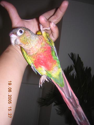 DSCN3380.JPG