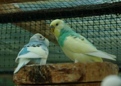 Resize of Resize of Img2005-07-24-11.13.10.JPG