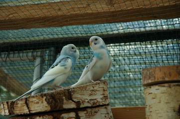 Resize of Img2005-07-24-11.04.56.JPG