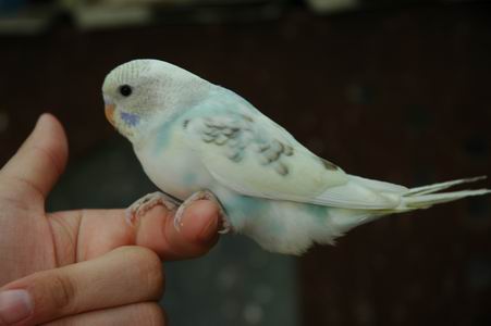 Resize of Img2005-07-24-11.06.17.JPG