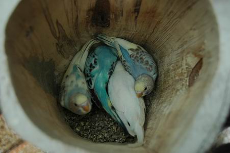 Resize of Img2005-07-24-11.06.49.JPG