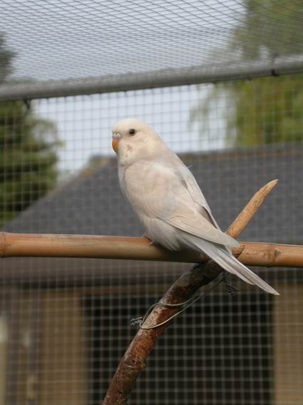 Resize of Img2005-07-16-19.24.56.JPG