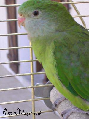 DSCN1020.jpg