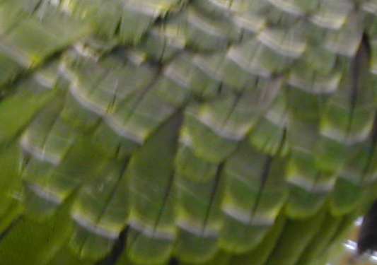 DSCN2840.jpg