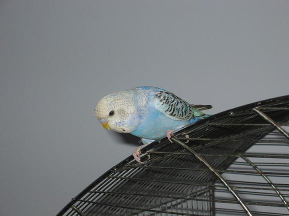 IMG_3423.JPG