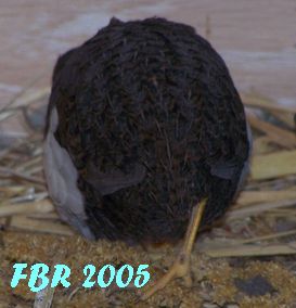 100_0643.jpg