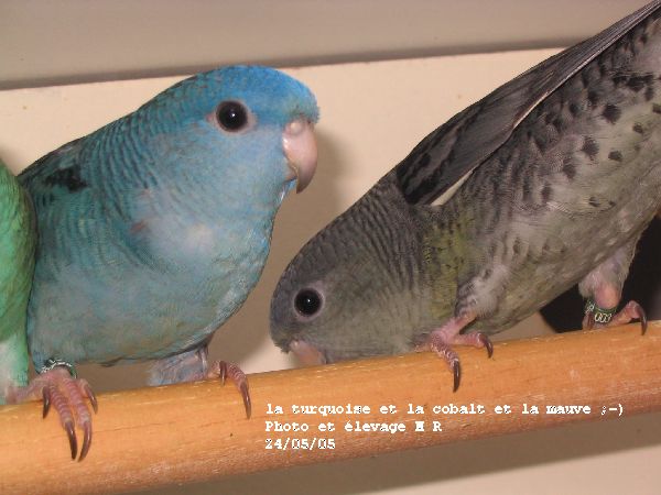 176_7691.jpg