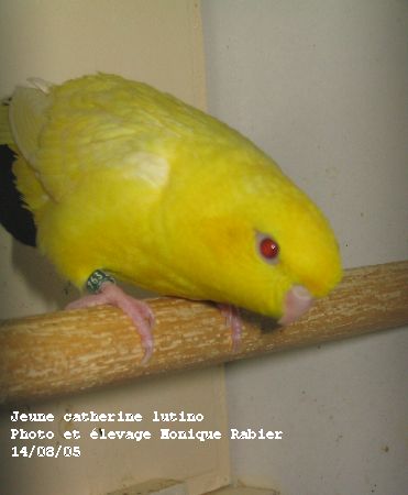186_8700.jpg