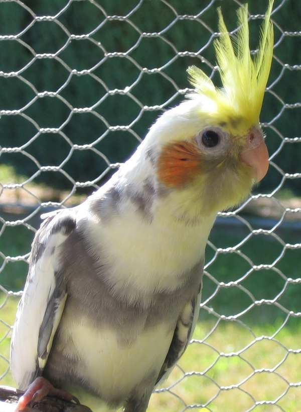 Callo1 - 30J (6).jpg