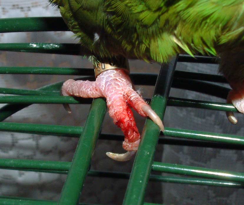 Lilou2.jpg