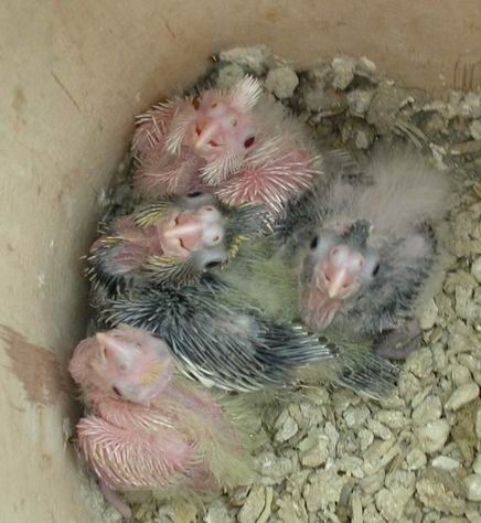 Resize of Img2005-08-20-10.17.17.JPG