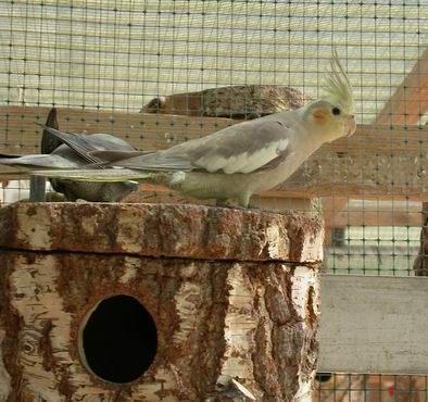 Resize of Img2005-08-13-11.51.32.JPG