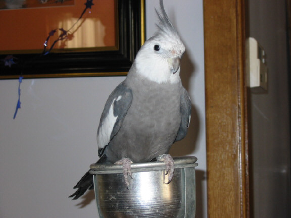 123-2365_IMG.JPG