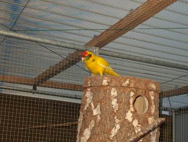 Resize of 25-12-2003-20015.jpg