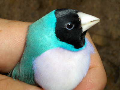 HPIM0882r.jpg