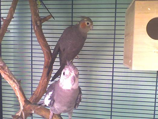 Titi & chalotte.jpg