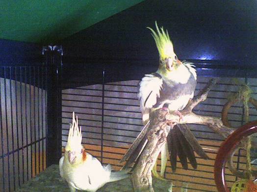 Snoop & Fanny.jpg