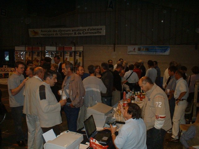 cde8.jpg