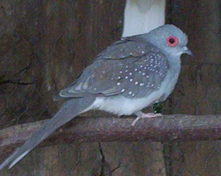101_5257.jpg