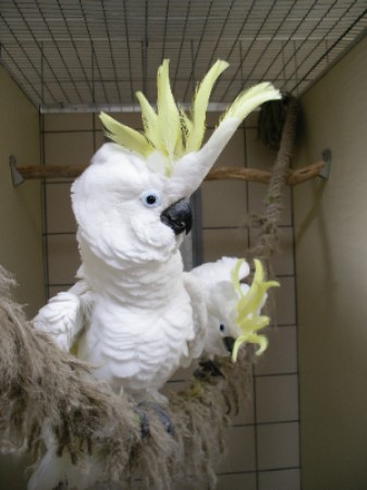 elevage greg 004.jpg