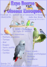 affiche 1.jpg.png