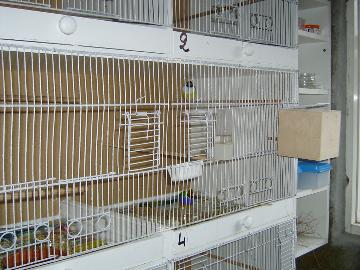 S3600091.jpg