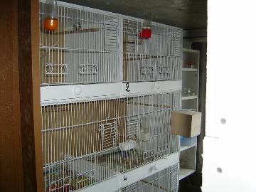 S3600090.jpg